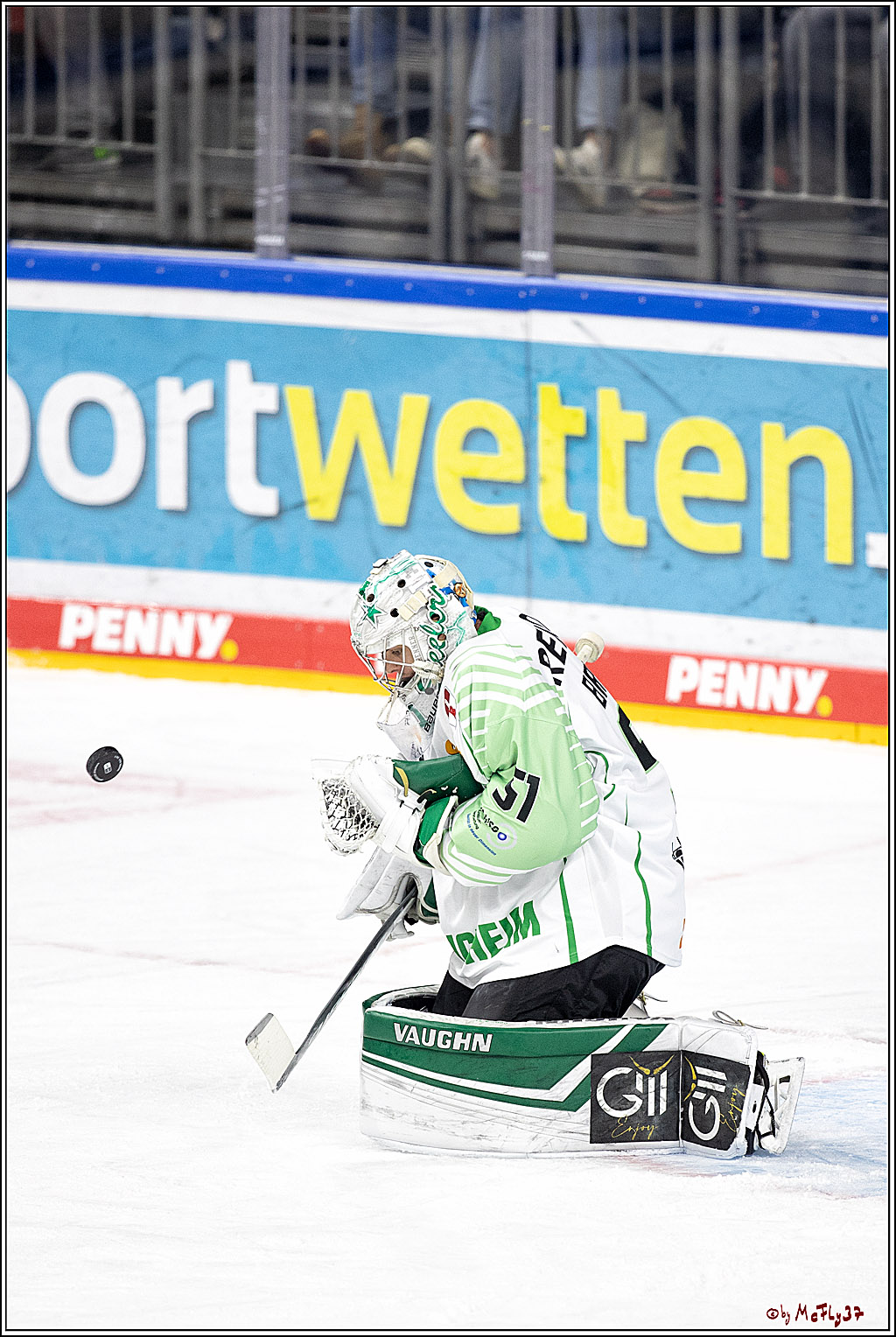 PENNY DEL;  Koelner Haie - Bietigheim Steelers; Koeln, 19.11.2021
